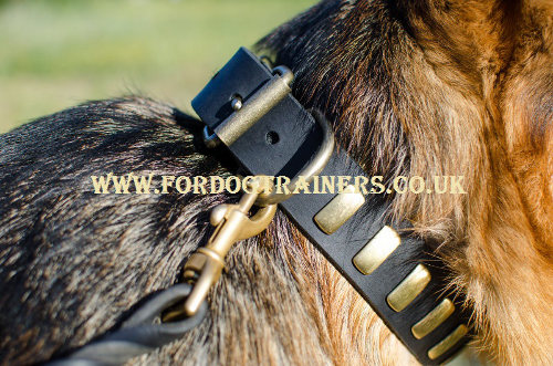 German Shepherd Leather Collars